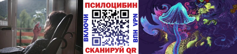 Купить закладки  Светлогорск  Галлюциногенные грибы Psilocybe 